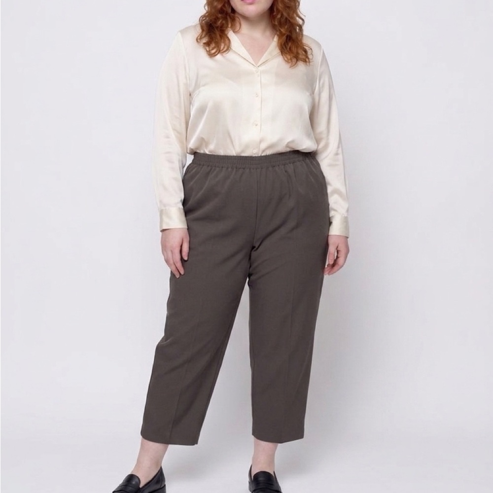 Just For Women Brown Pants 26WP